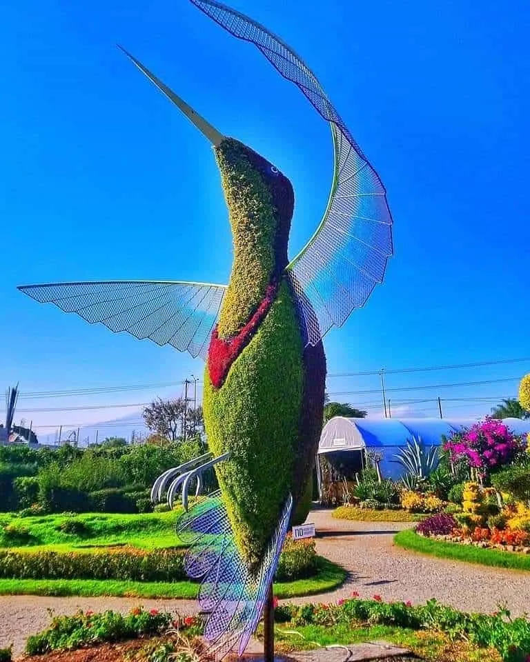Jardín Mágico de Atlixco de las Flores Puebla | Un sitio Espectacular 2 Jardín Mágico de Atlixco