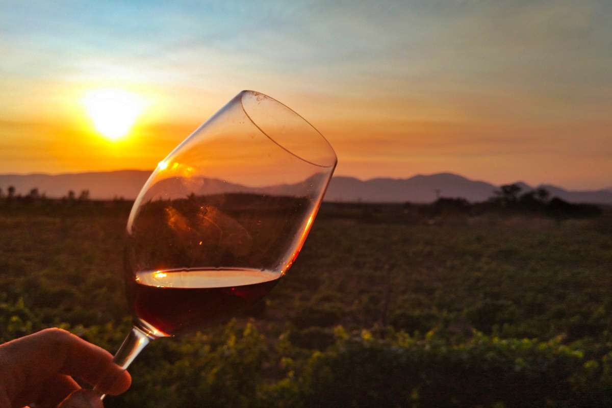 The wine route is a must when visiting Ensenada