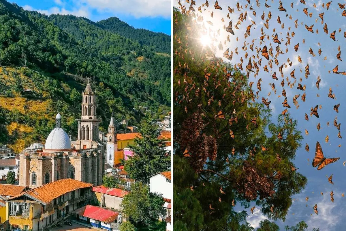 Angangueo Michoacan Mariposas