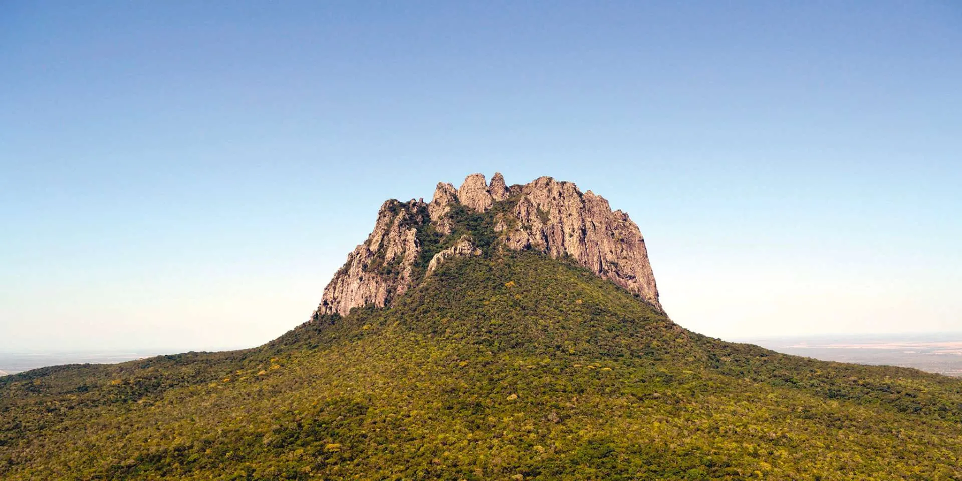 Estado de Tamaulipas