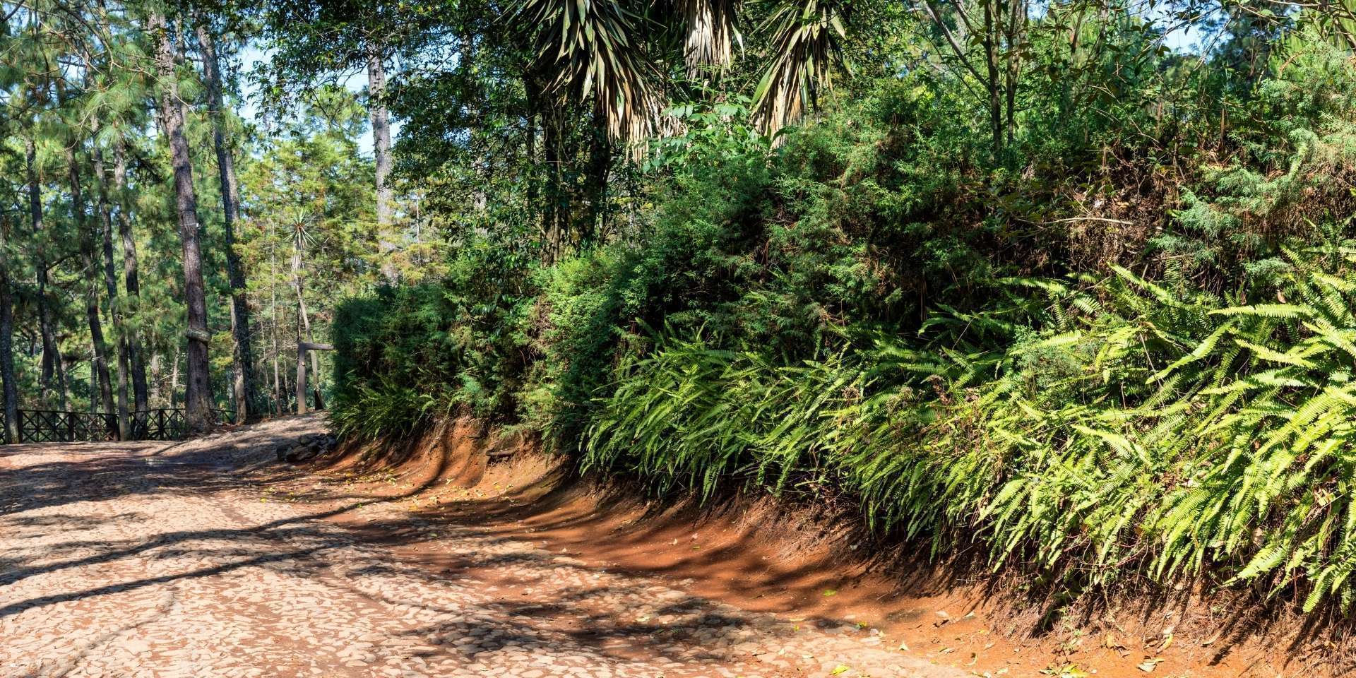 Mazamitla Jalisco Pueblo magico Bosque Cabañas