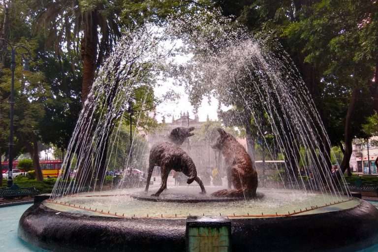 Fuente de los Coyotes Coyoacan Ciudad de Mexico