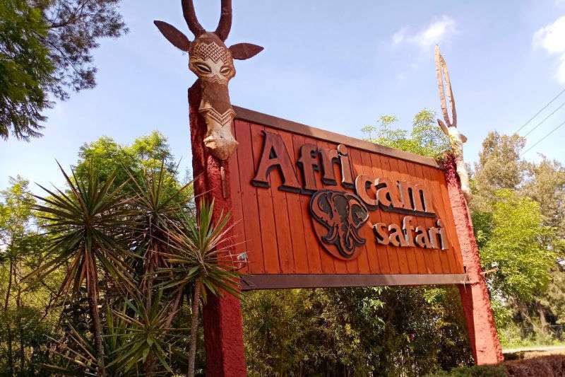 zoologico africam safari puebla mapa