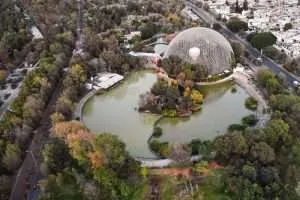 Biblioteca Palafoxiana | Qué Ver y Hacer en Ciudad de Puebla 3 Arboterra by Africam Safari Puebla
