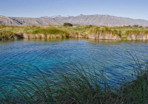 CUATRO CIENEGAS COAHUILA