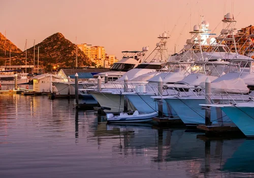 Cabo San Lucas Baja California Sur Marina