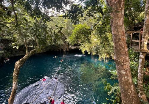 Cenotes Verde Lucero Puerto Morelos Quintana Roo