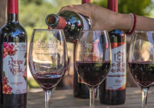 Vinicola de Letras Ruta del Vino Aguascalientes Vinicola de Letras Ruta del Vino Aguascalientes