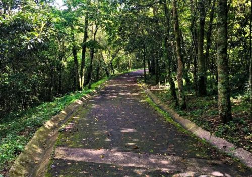 parque natura Xalapa Veracruz